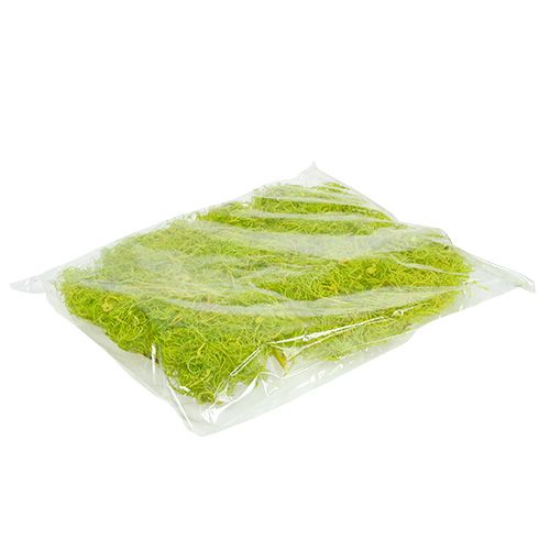 Floristik24 Musgo rizado verde claro 350g