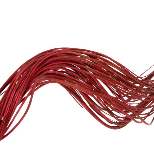 Artículo Rama decorativa seca de sauce rizado para floristería creativa y decoración del hogar, 80 cm, 70 g