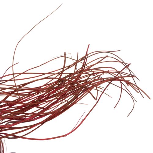 Artículo Rama decorativa seca de sauce rizado para floristería creativa y decoración del hogar, 80 cm, 70 g