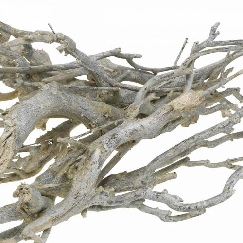 Floristik24 Ramas decorativas de arbusto de curry, Decoración navideña, Adviento, decoración natural Dorado, blanco lavado L25–30cm 500g