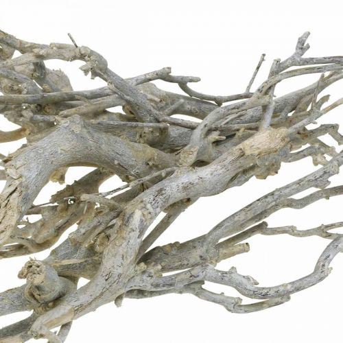 Artículo Ramas decorativas de arbusto de curry, Decoración navideña, Adviento, decoración natural Dorado, blanco lavado L25–30cm 500g