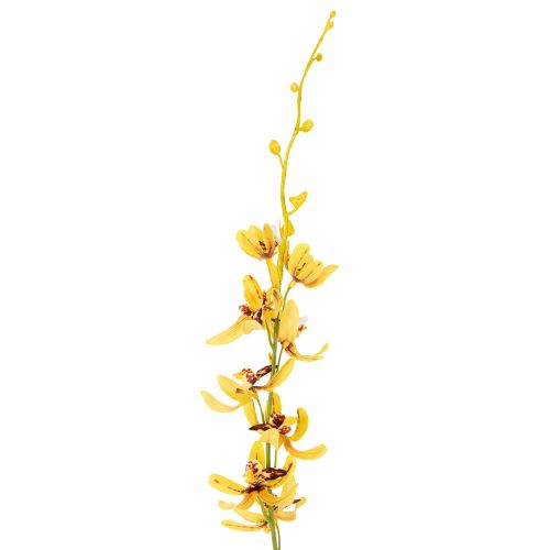 Artículo Orquídea Cymbidium artificial como tallo de flor para decoración elegante, 95 cm, 2 piezas