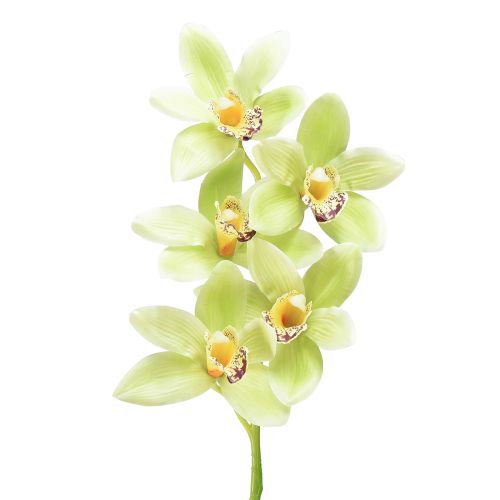 Floristik24 Orquídea Cymbidium artificial 5 flores verde 65cm