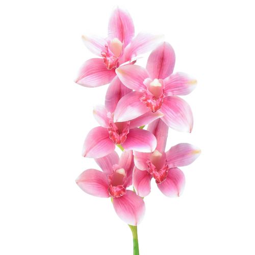 Artículo Orquídea Cymbidium artificial 5 flores rosa 65cm