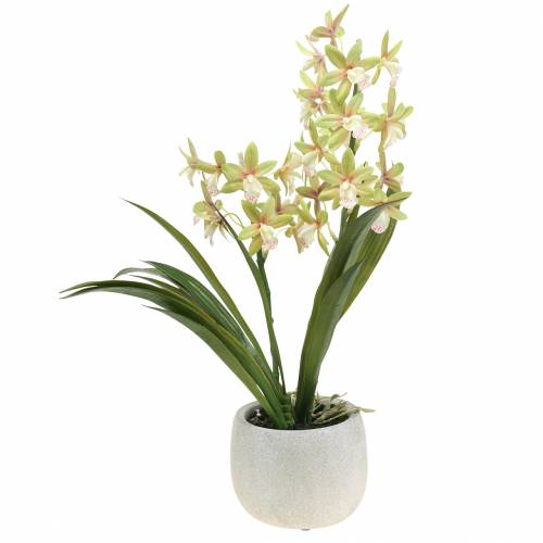 Floristik24 Orquídea Cymbidium Verde en una maceta Artificial H46cm