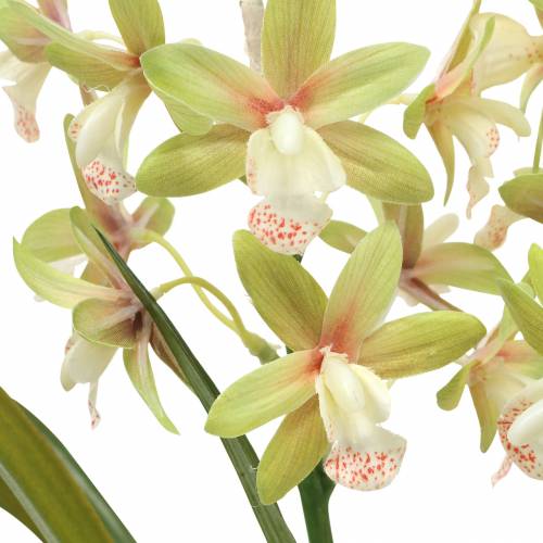 Floristik24 Orquídea Cymbidium Verde en una maceta Artificial H46cm