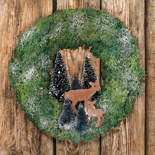 Caja de bricolaje corona de musgo corona de puerta de bosque de invierno Navidad Ø34cm