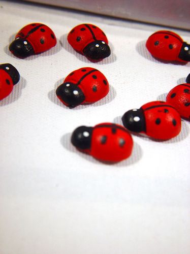 Artículo Ladybug pequeño autoadhesivo 360uds