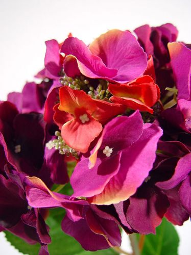 Floristik24 Hortensia 43cm púrpura oscuro (3 piezas)