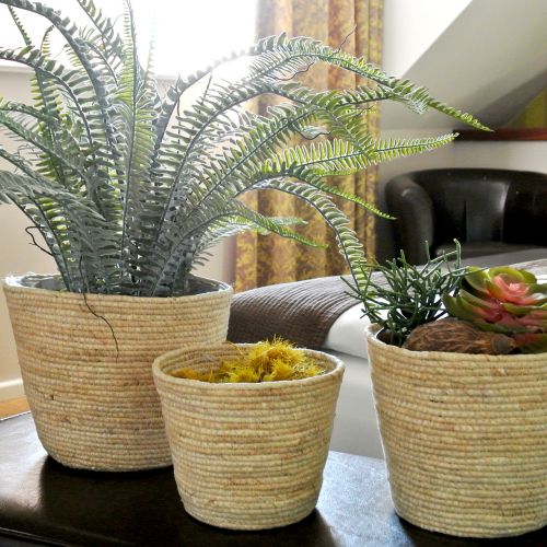 Artículo Cesta para plantas rattan natural Ø26/22/16cm 3pcs