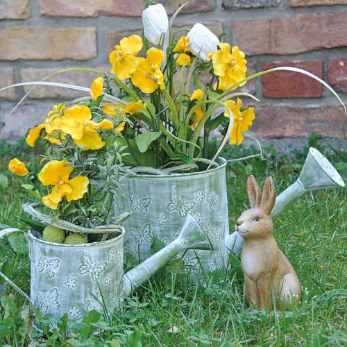 Floristik24 Maceta regadera con mariposas Rosa Ø10cm H10cm