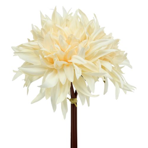 Floristik24 Crema de dalia artificial 25,5cm 3uds