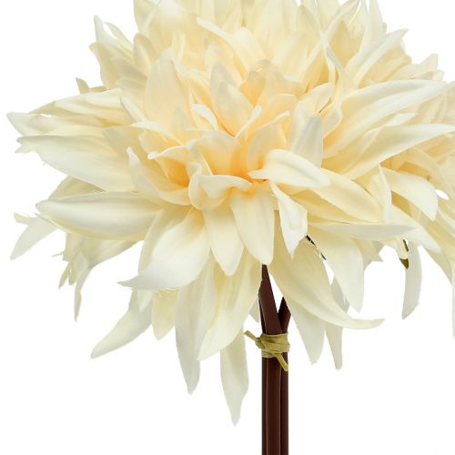 Floristik24 Crema de dalia artificial 25,5cm 3uds