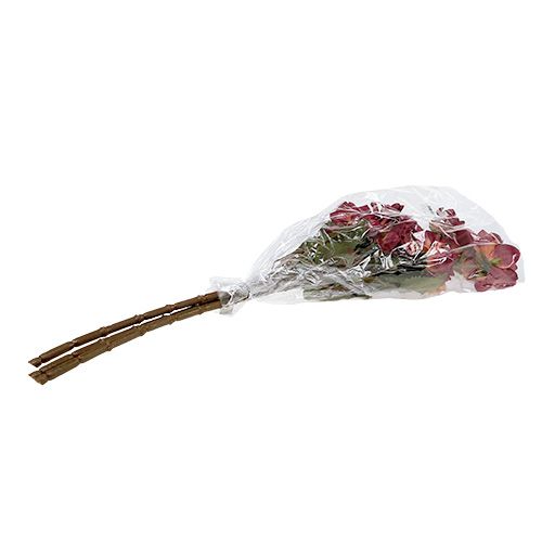 Floristik24 Dalia Erika Ø10cm L68cm 3pcs