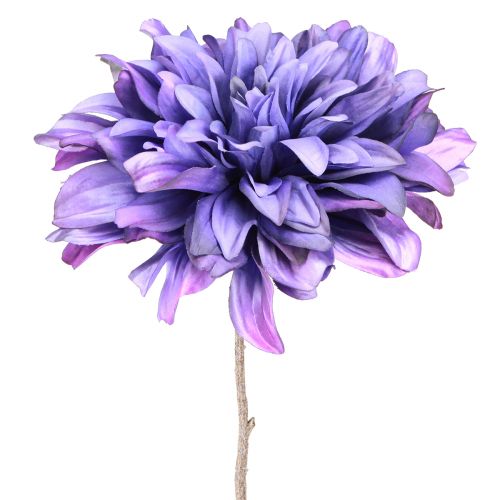Floristik24 Dalia artificial con flores grandes en violeta L58cm