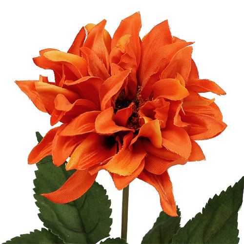 Floristik24 Dalia Naranja 28cm 4pcs