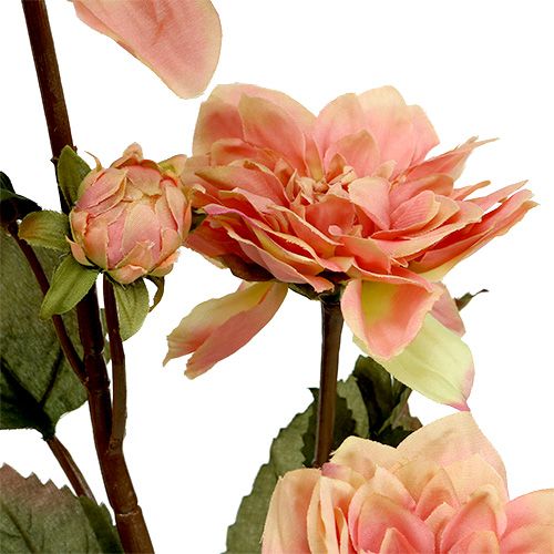 Artículo Dalia Rosa Ø10cm L68cm 3pcs