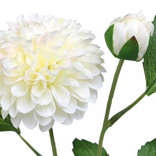 Artículo Dalia flores artificiales verde crema 2 flores 60cm