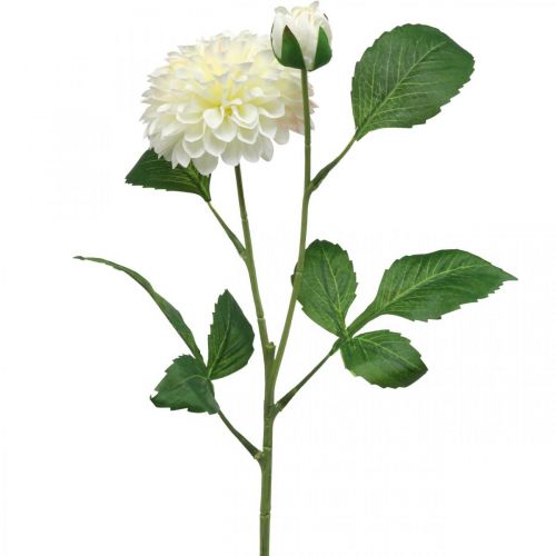 Floristik24.es Dalia artificial flores artificiales crema verde 2 flores  60cm - comprar barato en línea