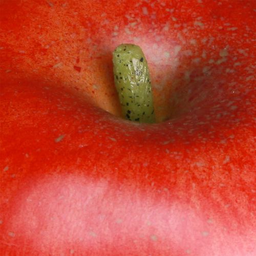 Artículo Chupete decorativo de comida de fruta decorativa roja manzana 9cm