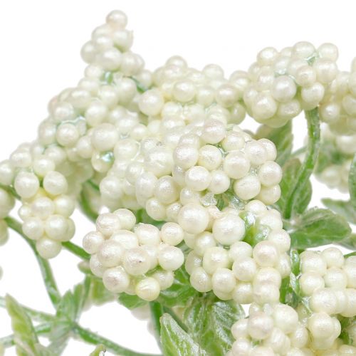 Floristik24 Rama de baya decorativa blanca 24cm 5pcs