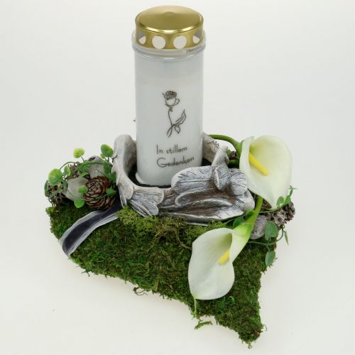 Floristik24 Planta corazón musgo 28cm x 23cm