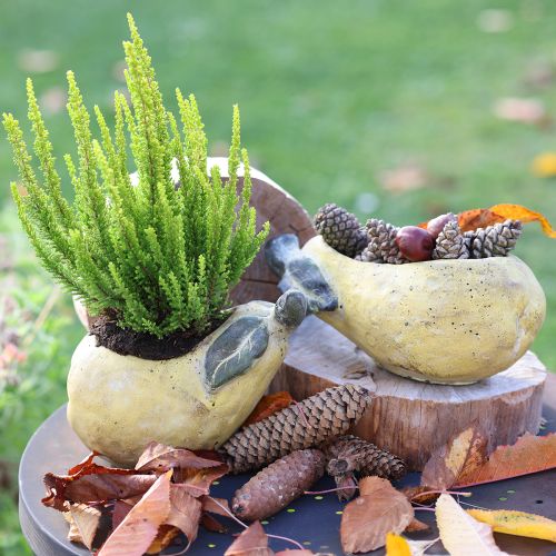 Artículo Maceta decorativa de hormigón con forma de pera, decoración otoñal, 19×12,5×15,5 cm
