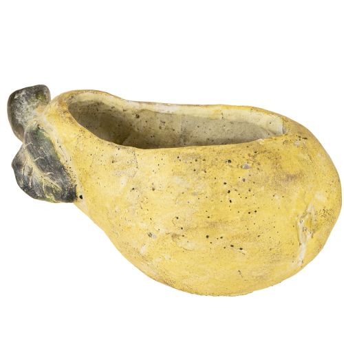 Floristik24 Maceta decorativa de pera otoñal de hormigón de 25 x 13 x 11 cm