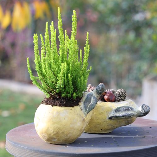 Artículo Maceta decorativa de pera otoñal de hormigón de 25 x 13 x 11 cm