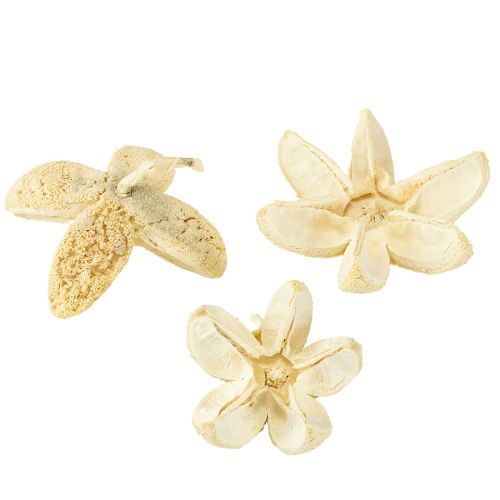 Floristik24 Flor decorativa blanqueada 12 uds