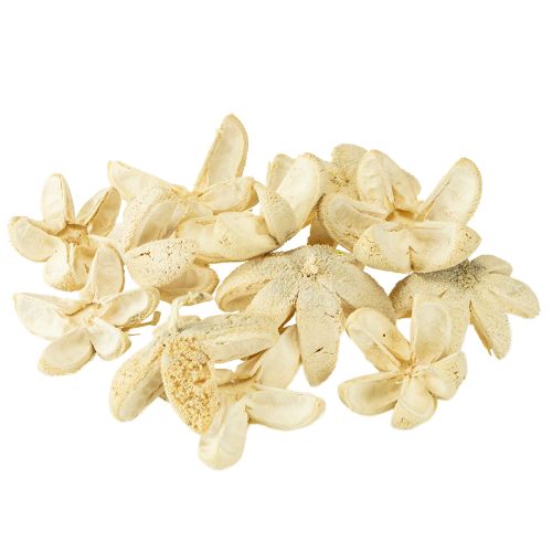 Artículo Flor decorativa blanqueada 12 uds