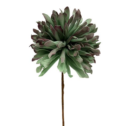 Floristik24 Rama decorativa flor espuma verde 70cm