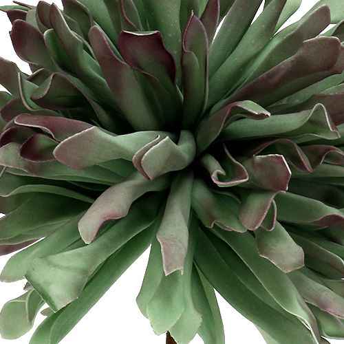 Floristik24 Rama decorativa flor espuma verde 70cm
