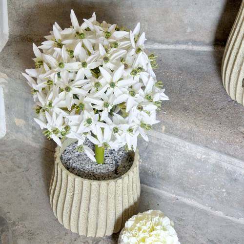 Artículo Flor decorativa Allium, puerro bola artificial, cebolla ornamental blanca Ø20cm L72cm