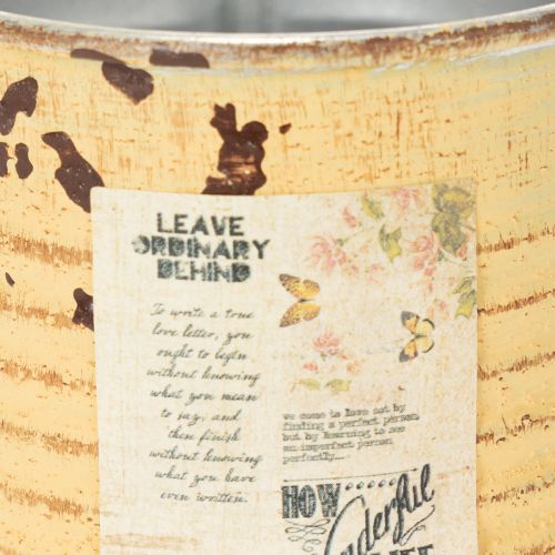 Artículo Lata decorativa, color albaricoque veraniego, lata de metal, maceta, Ø8cm H7.5cm