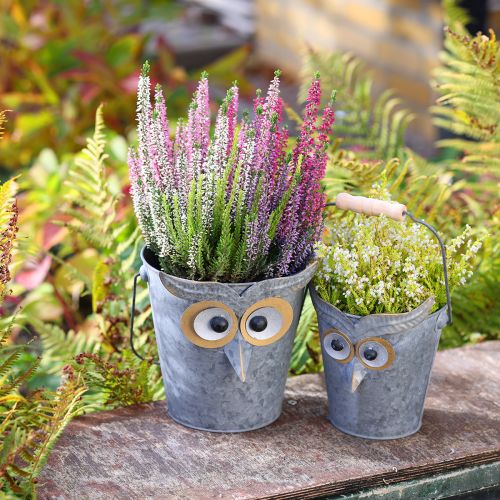 Floristik24 Macetero decorativo con forma de búho de zinc con asa, Ø15/19 cm, juego de 2