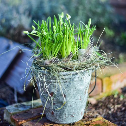 Floristik24 Cubo decorativo, macetero, cubo de cerámica aspecto antiguo Ø19,5cm H19cm