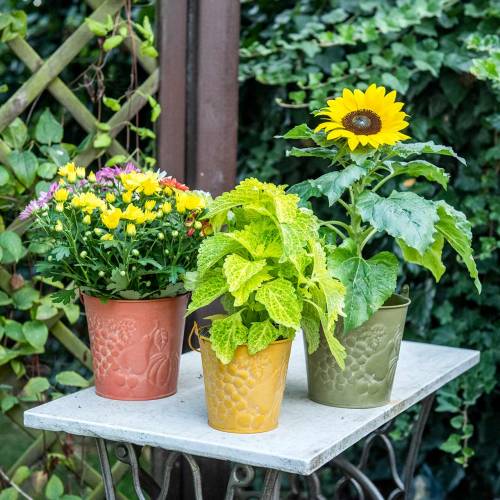 Artículo Cubo decorativo de frutas lavadas amarillo, naranja, verde Ø15cm H14cm juego de 3