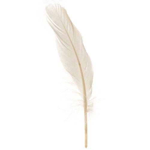 Artículo Plumas decorativas plumas de pájaro reales champagne 20g