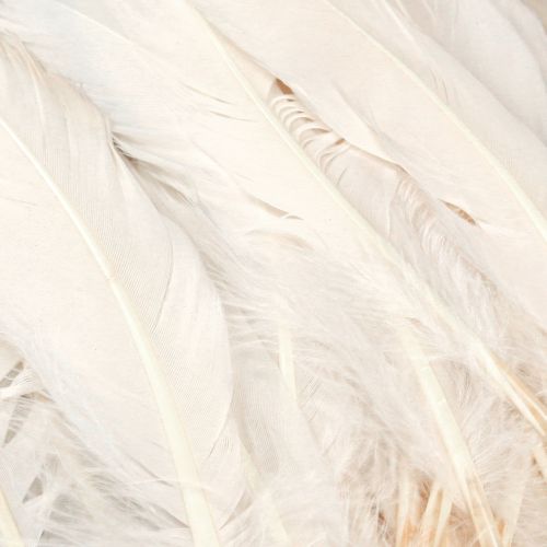 Artículo Plumas decorativas plumas de pájaro reales champagne 20g