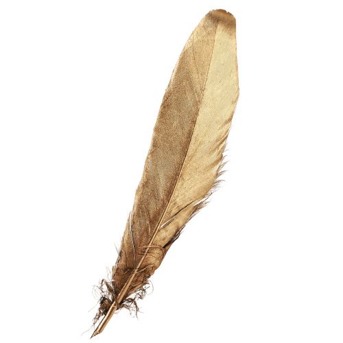 Artículo Plumas decorativas plumas decorativas navideñas doradas 15-20cm 12 piezas
