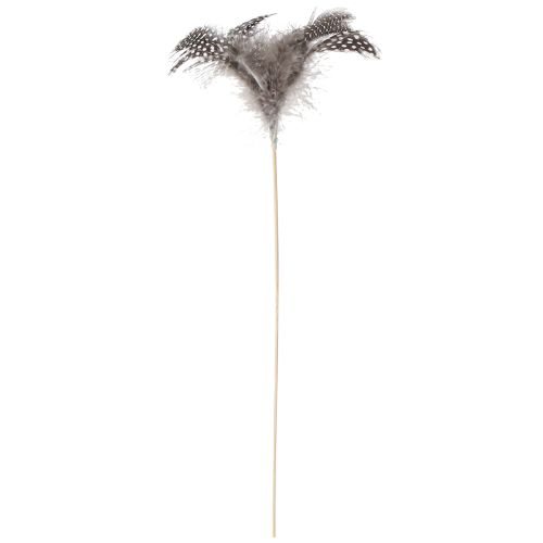 Artículo Plumas decorativas de gallina de Guinea punteadas sobre palo, naturales, L35 cm, 12 unidades