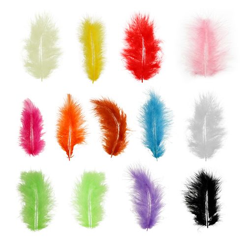 Floristik24 Plumas cortas 30g diferentes colores