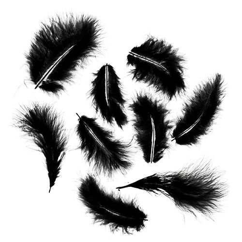 Floristik24 Plumas cortas 30g negro