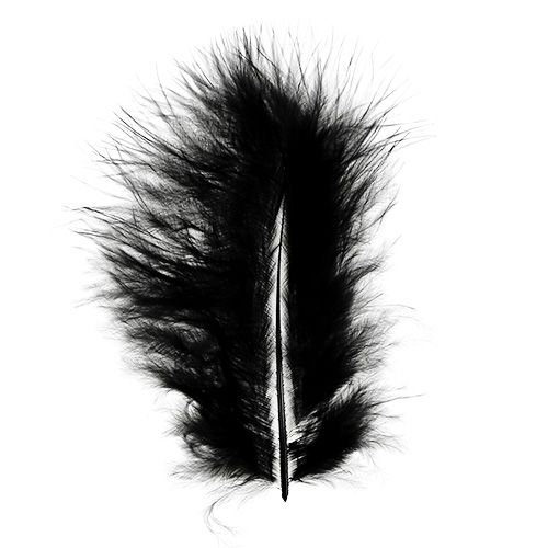 Floristik24 Plumas cortas 30g negro