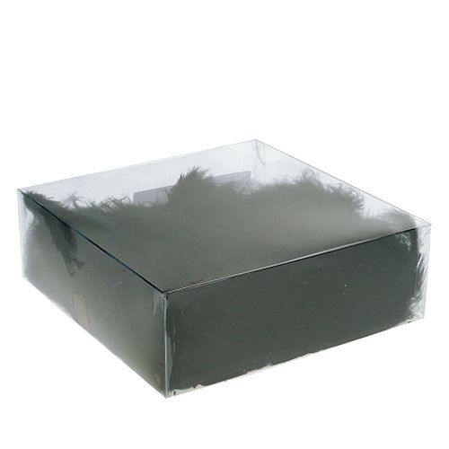 Floristik24 Plumas cortas 30g negro