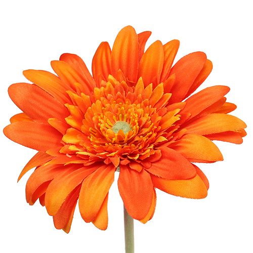 Floristik24 Deco Gerbera Naranja Ø10cm L53cm 6pcs