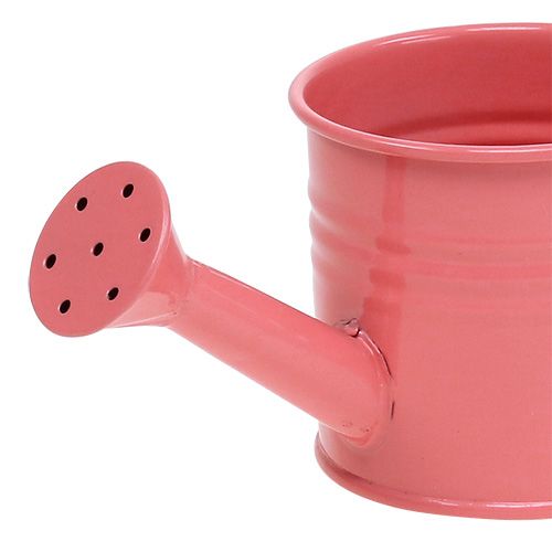 Floristik24 Regaderas decorativas culo pastel. Ø7.5cm H7.5cm 8 piezas