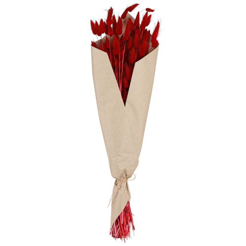 Floristik24 Hierba Decorativa Lagurus Roja Flores Secas Hierba Cola De Conejo 50g