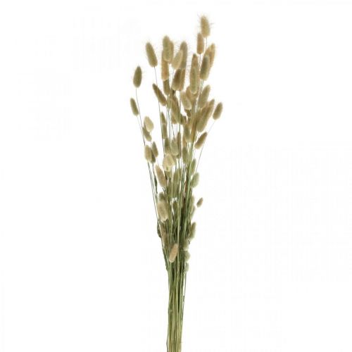 Artículo Lagurus seco, flores secas de Lagurus, hierba Lagurus natural L30–70cm 45g